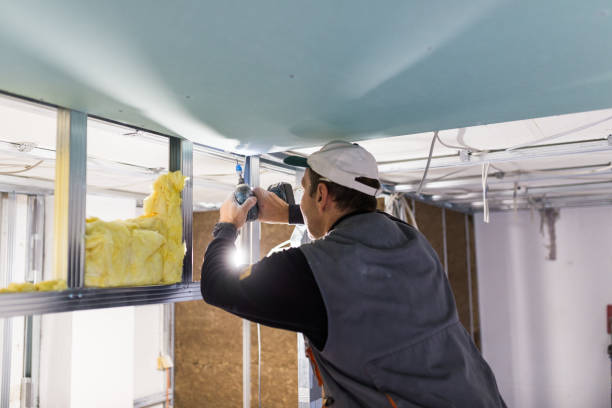 Best Insulation Materials and Products in Dortches, NC