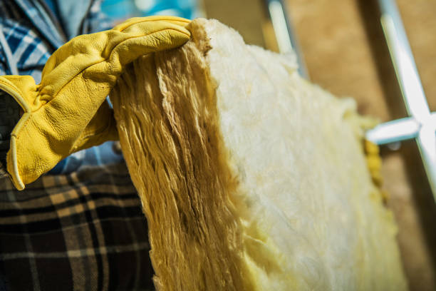 Best Commercial Insulation in Dortches, NC
