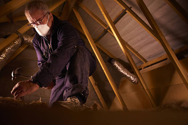Best Residential Insulation in Dortches, NC