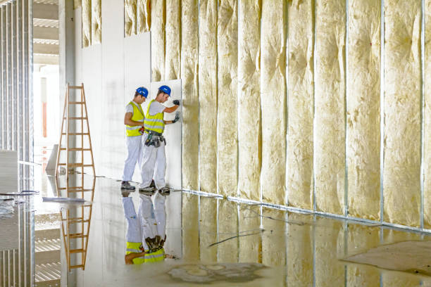 Best Insulation Installation Services in Dortches, NC